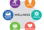 Promote Your Health & Wellness Business — Reach the Guelph Community